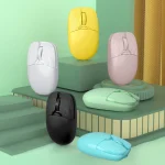 Mouse
